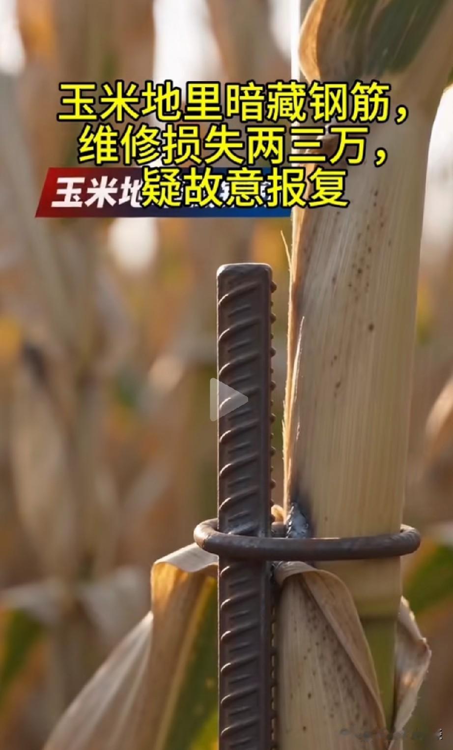 这样的人太坏了，为了和同行抢生意，他就在玉米地里收集钢筋，破坏别人的机器，别人机