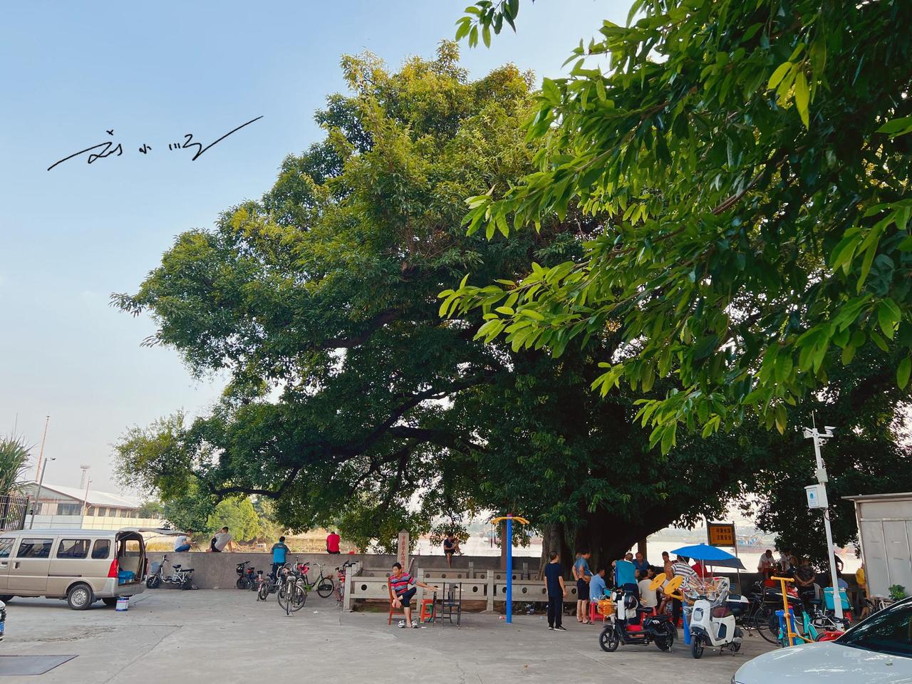 广州市海珠区有一块百年界碑，藏在街边小公园里，好多人都没注意？

前些天，我和朋