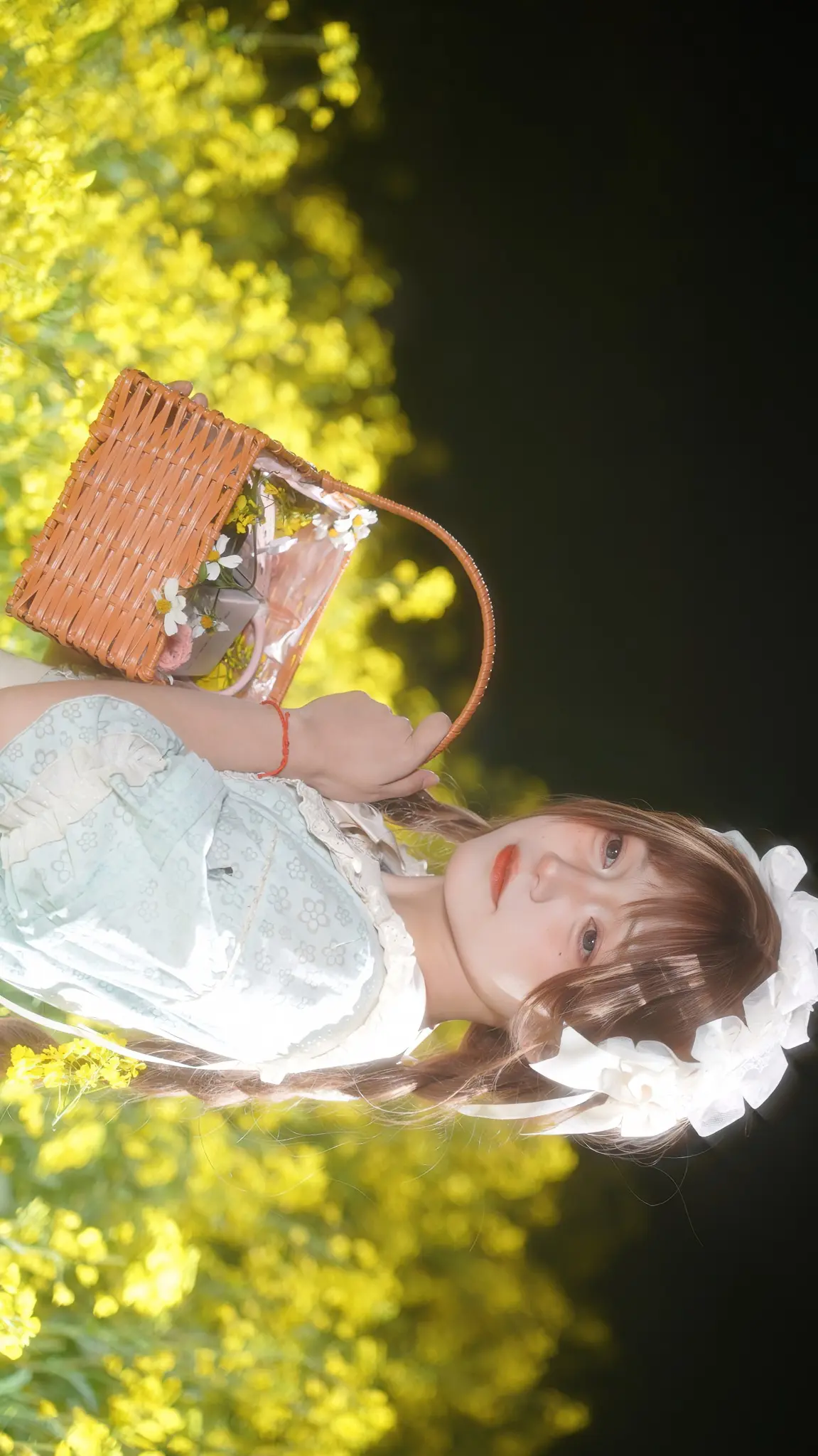 我们会在春天相遇。夜晚的油菜花