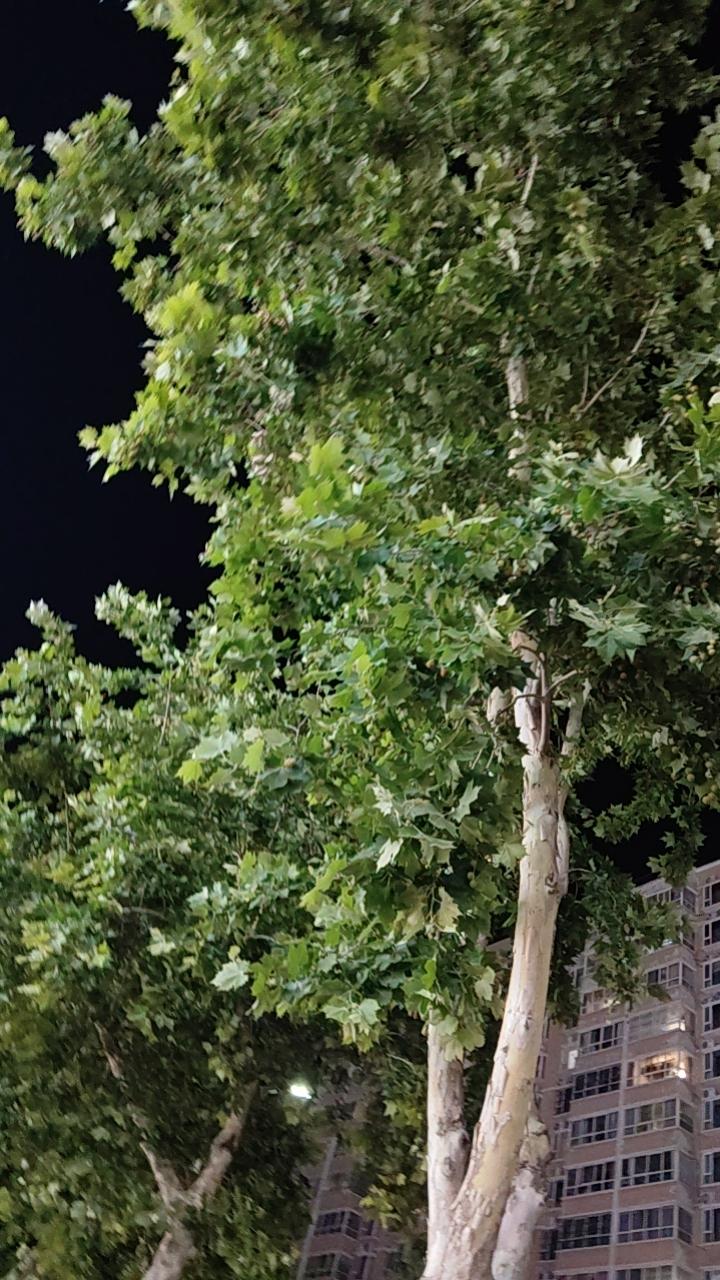 网上不少莫名其妙的资讯，一看题目就猜到了。比如某视频，名字是“当年看不懂，如今逆