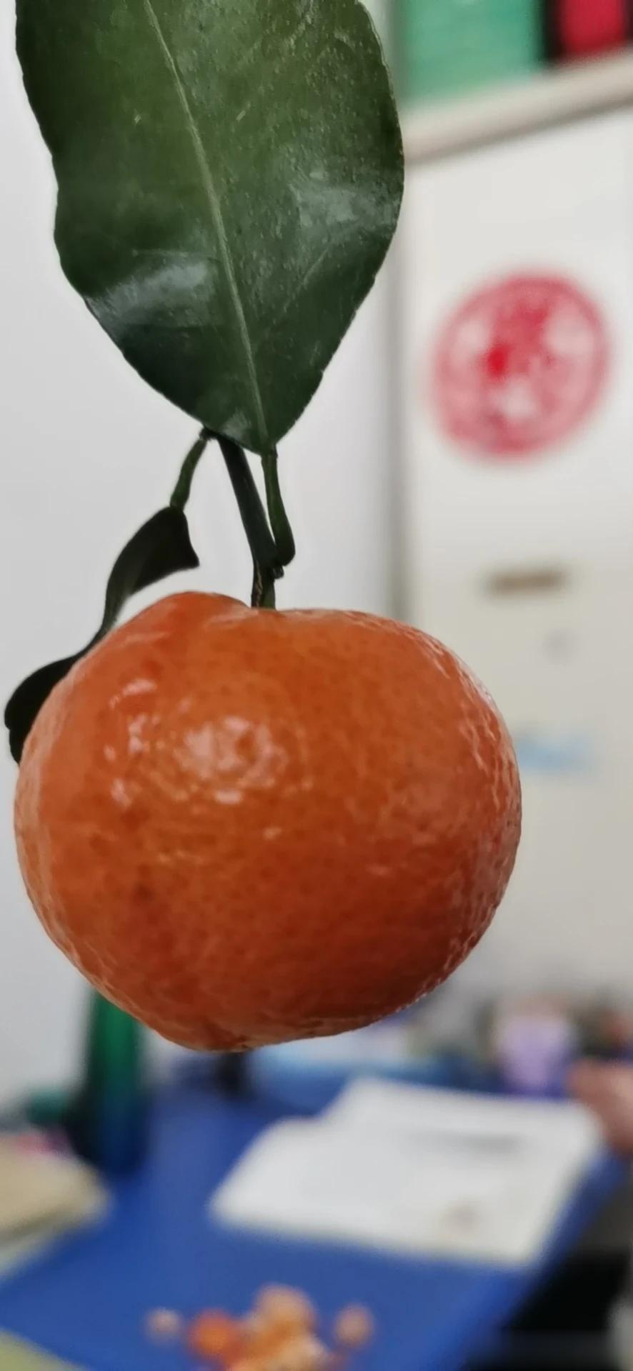 我们总是喜欢不停的揣测对方的心情，不停的猜忌对方的想法，然后开始惶恐不安，开始患