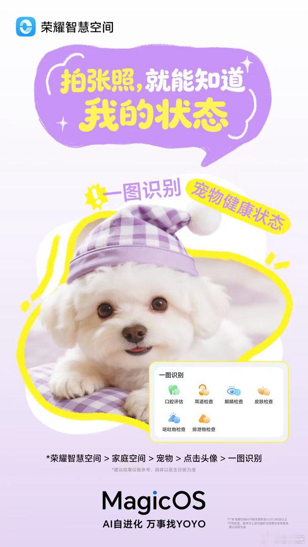 今天是国际宠物日，MagicOS 月月新升级带来的“宠物空间”功能，对养宠用户来