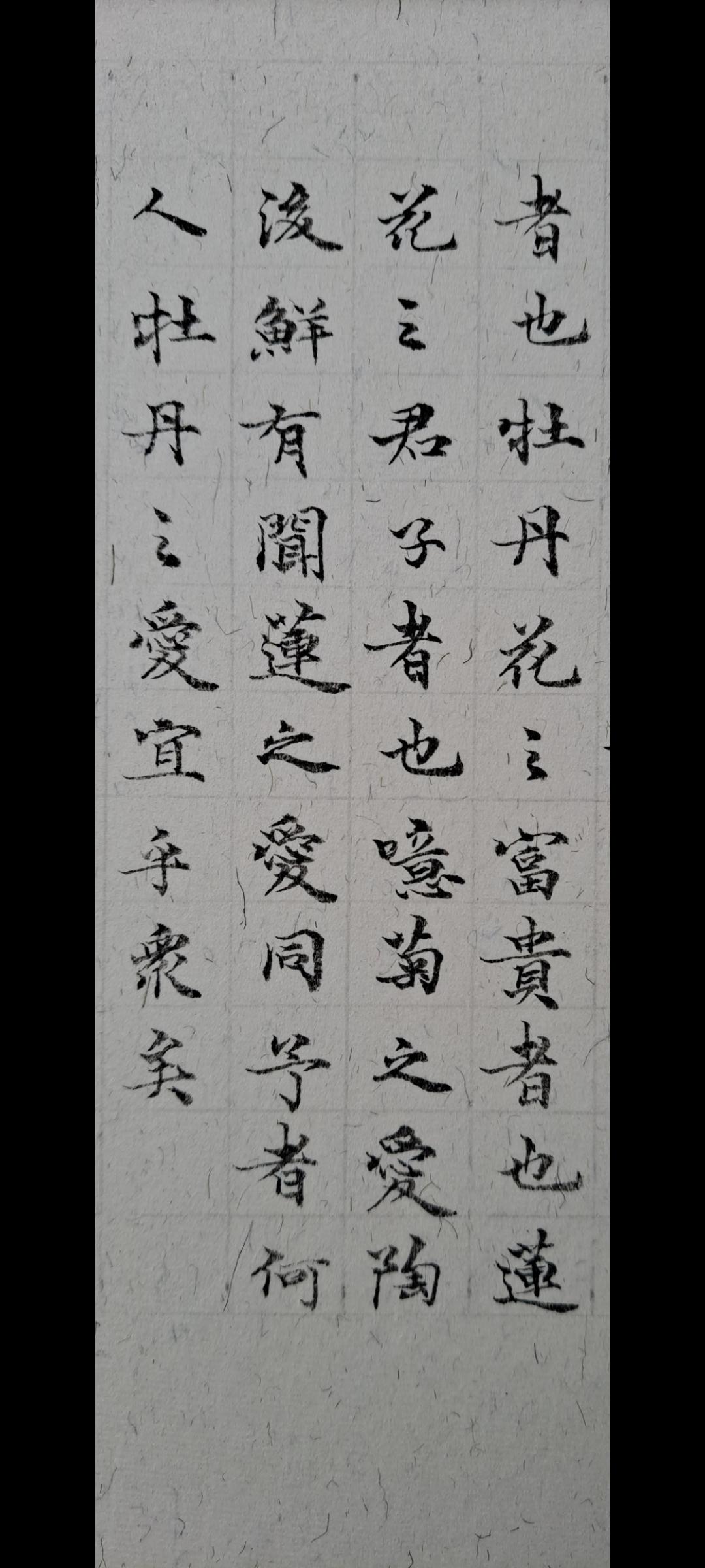 书法赏析《爱莲说》3 小楷 余宗香书。