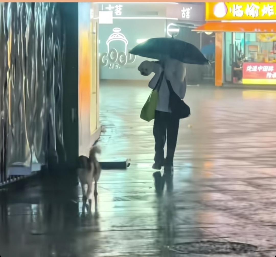 心思细腻敏感的人，很容易被一段雨夜短片戳中情绪。
同样一场淅淅沥沥的冷雨，隔开了