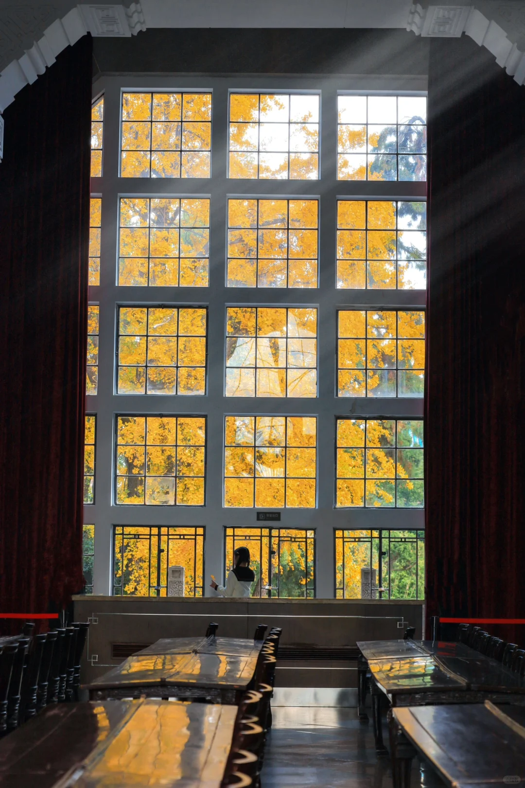 为了这扇银杏之窗❗️我专门去了一趟武大