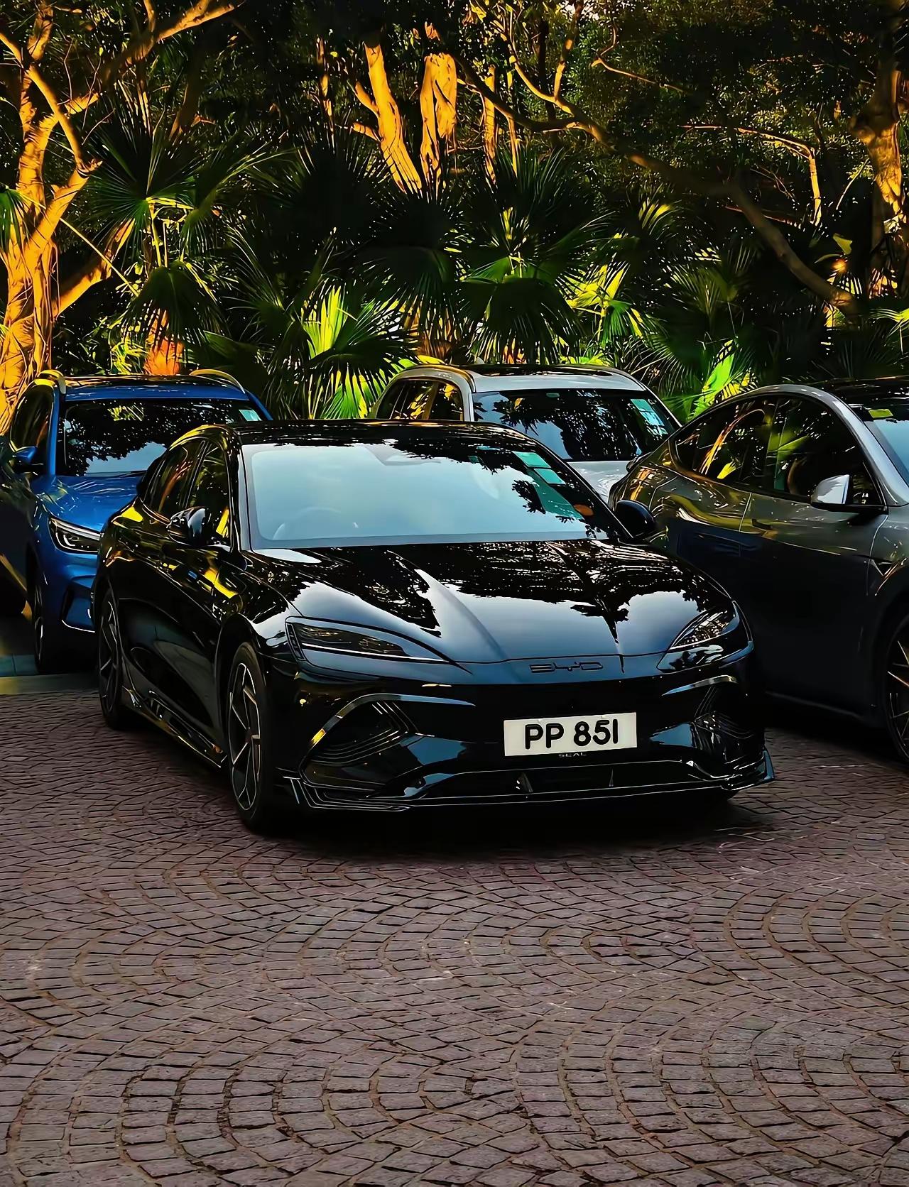 2025年比亚迪在香港卖成了第一，9751辆，比特斯拉多600台。海狮07EV一