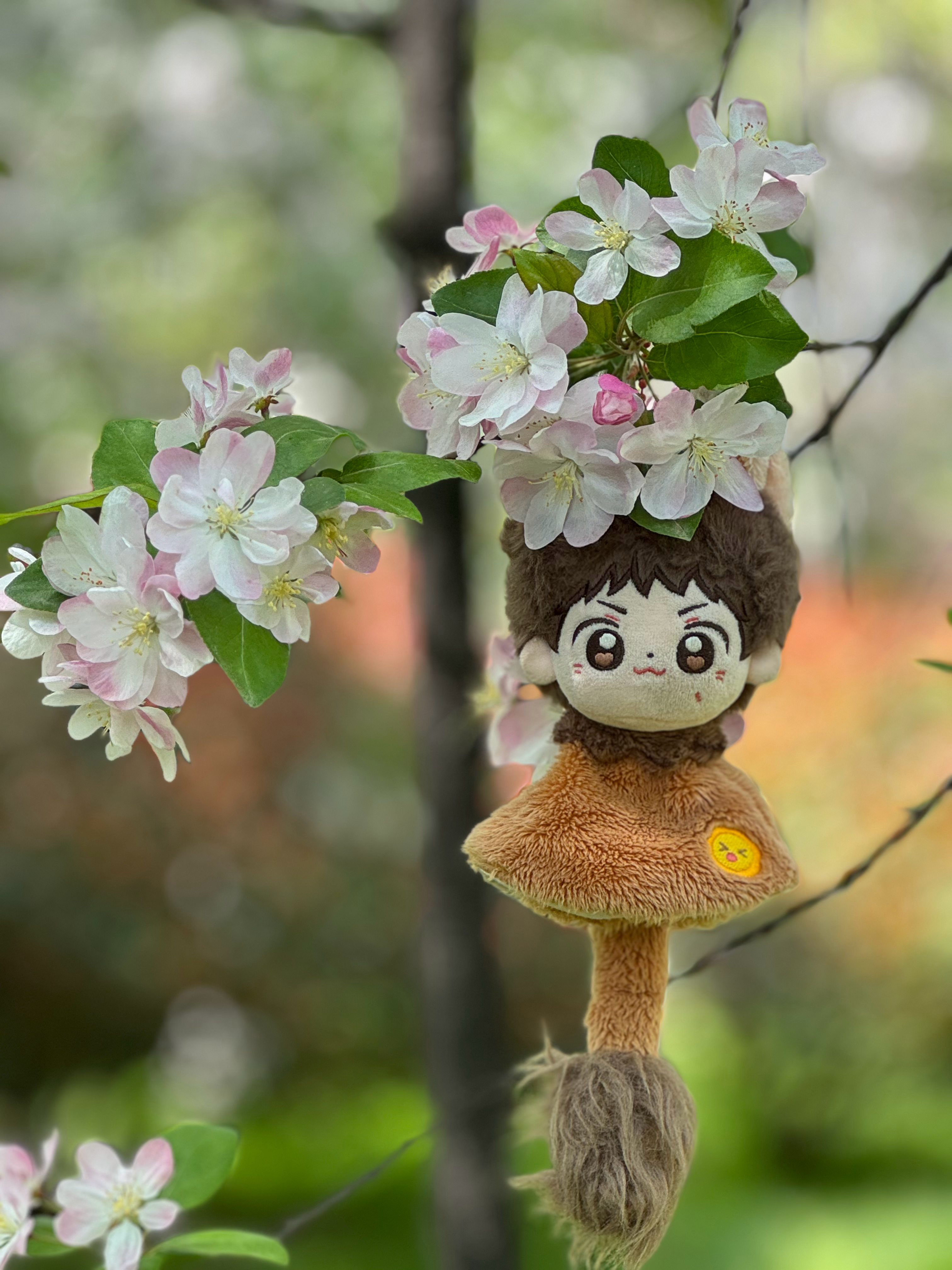 三井寿  春有约，花不负 