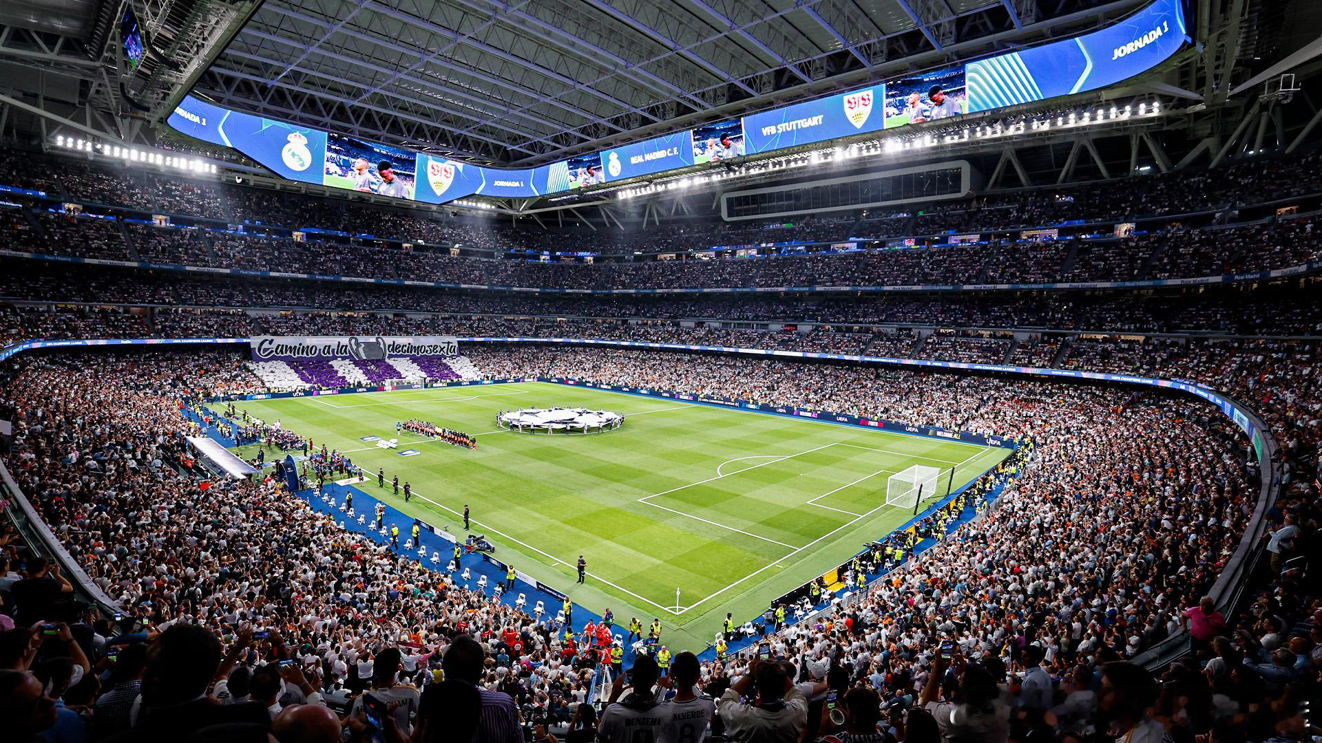🤍🏟️ + #欧冠# = 🤩 ​​​