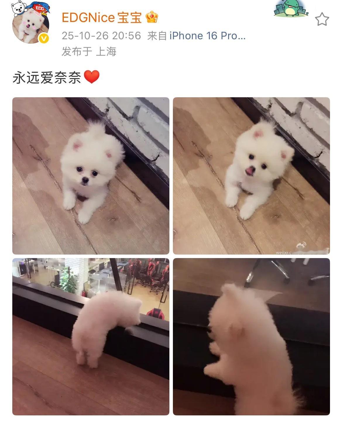 晚安小宝 ​​​