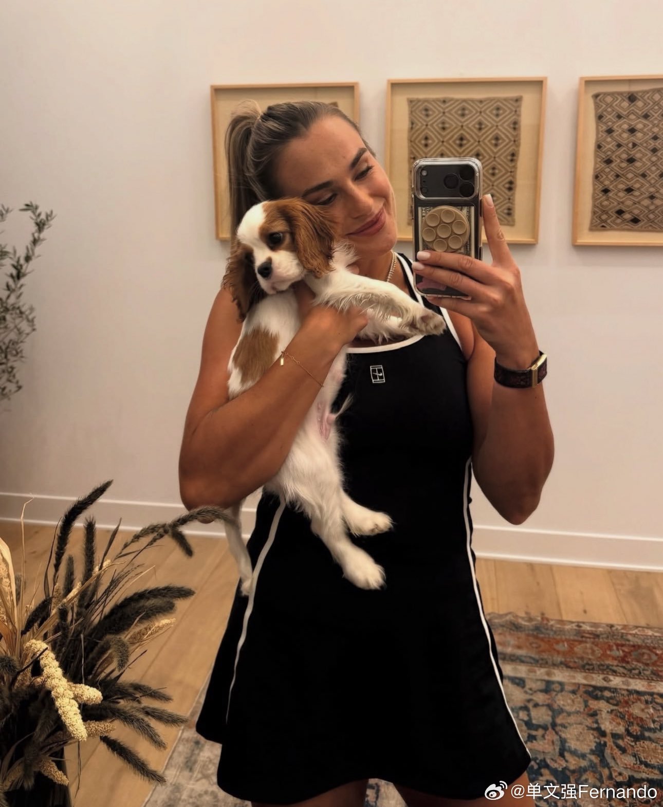 萨巴伦卡！喜提新成员Ash🐶Team Tiger虎妞团队来了个新面孔，萨巴伦卡