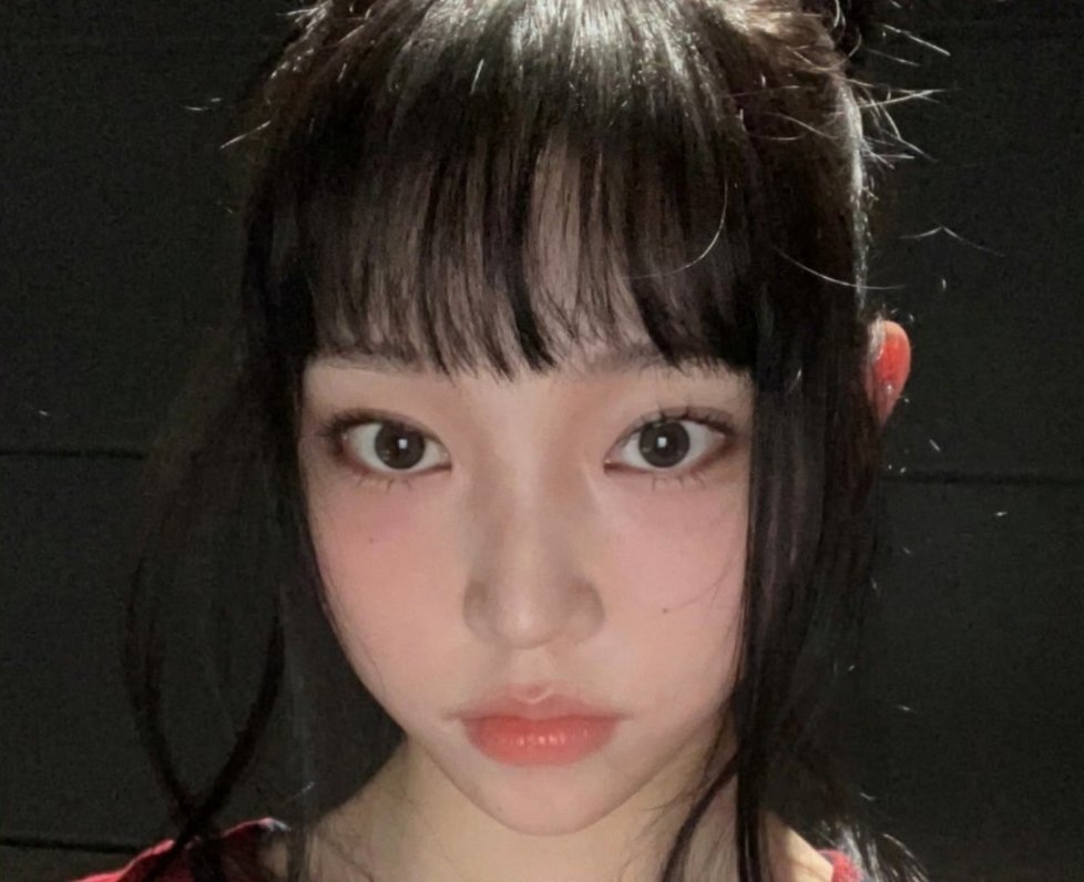 可 这就是我的小猪啊 
