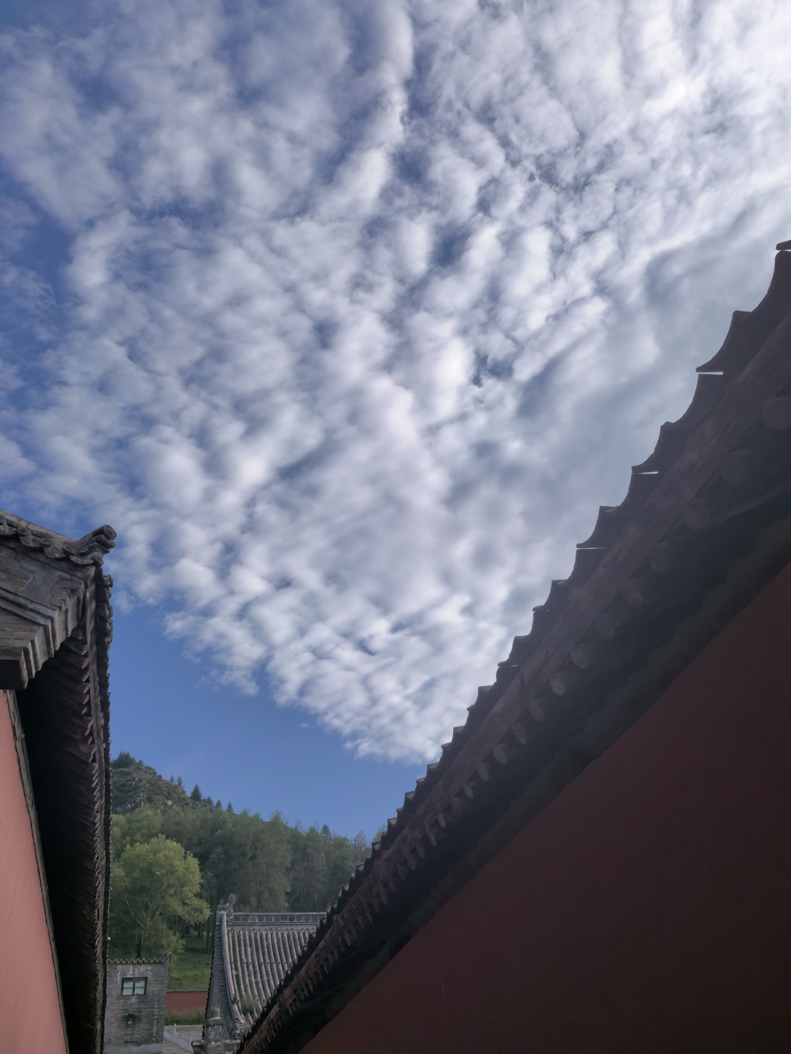 亲近善友远离恶缘《缁门警训》云："避恶友如避虎狼，事良朋如事父母。"修行之初，依