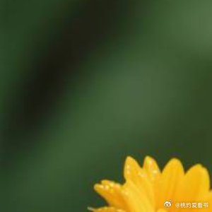 阳光信用[超话]阳光信用每日一善 老师[举手][举手][举手]求🍎愿你以快乐为