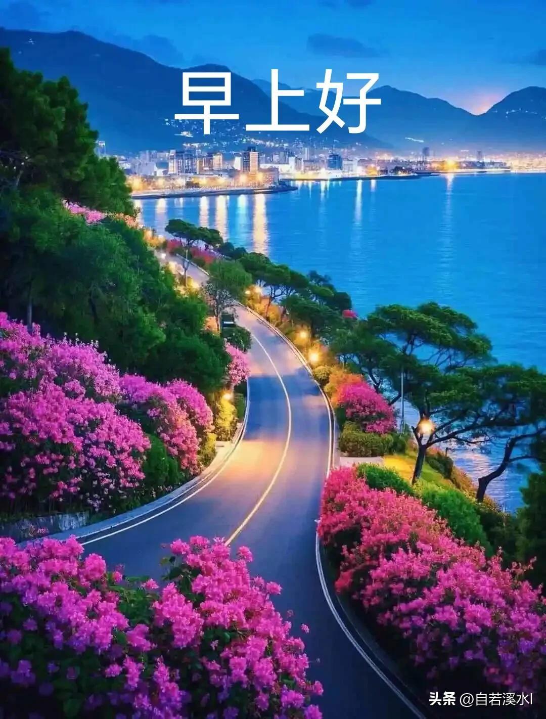 清晨有风，心中有光，放下烦心事，轻松迎接今日。