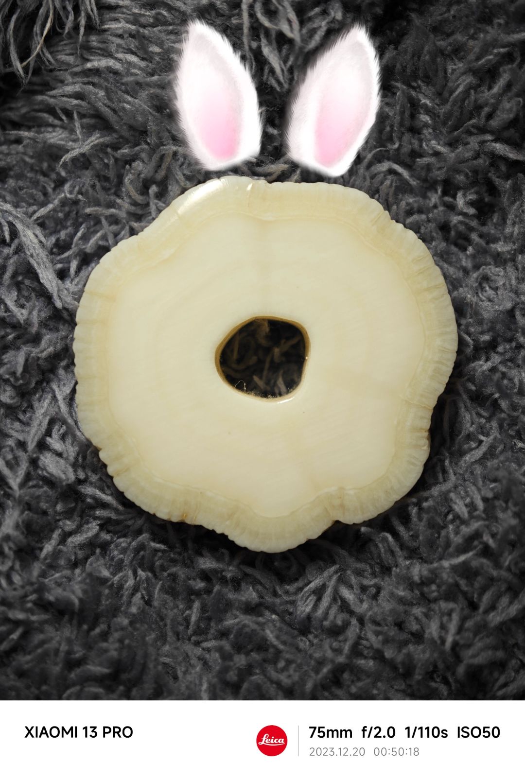 NO.337 DU～DU～独角～