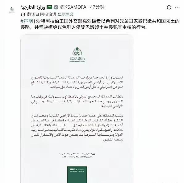 沙特终于要下场了？中东可能真要乱了
沙特外交部发了一份官方声明，在声明中沙特强烈
