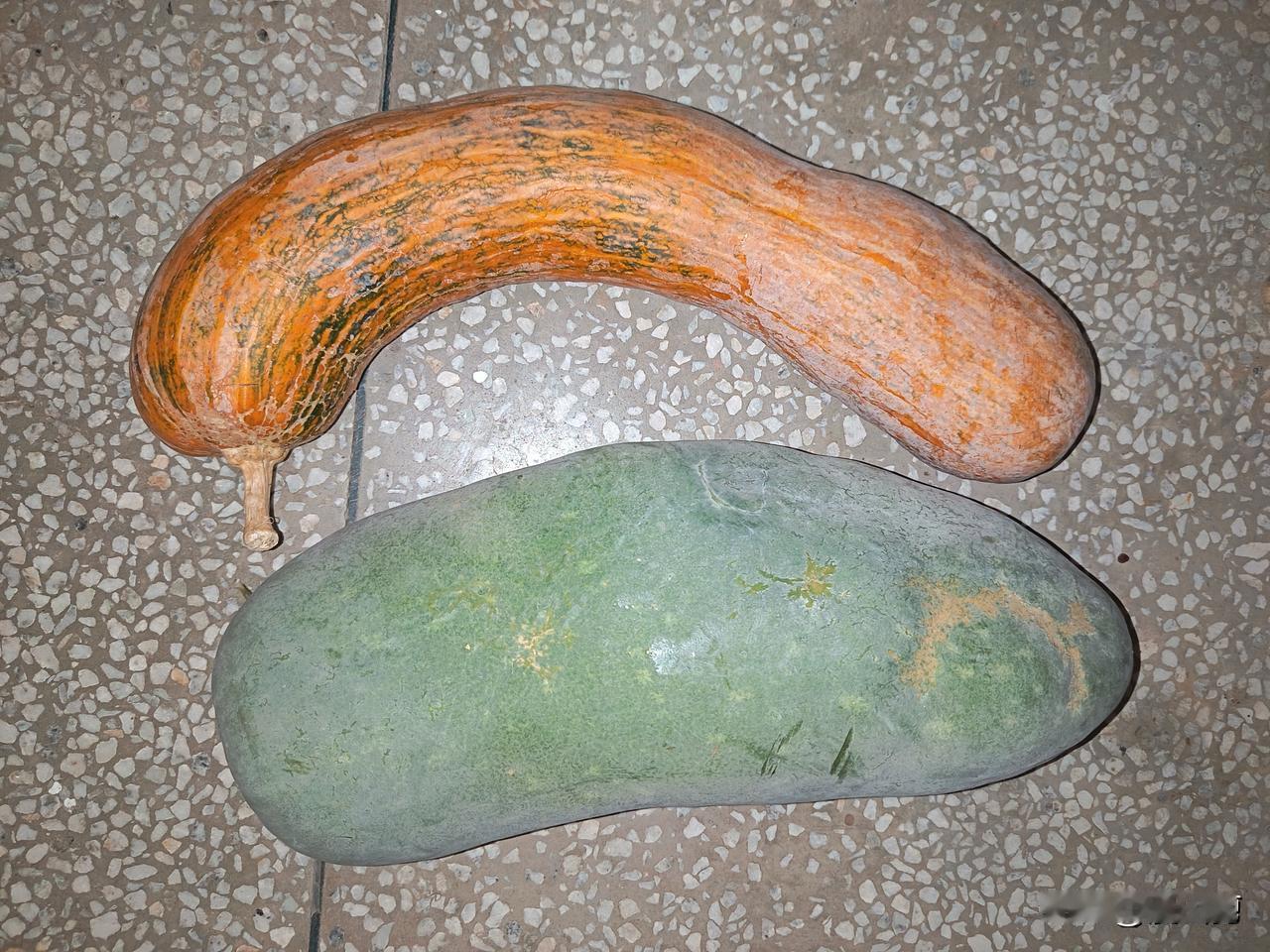 大前天刷到的是青菜叶

前天刷到的也是青菜叶

昨头刷到的不仅仅是青菜叶，还有大