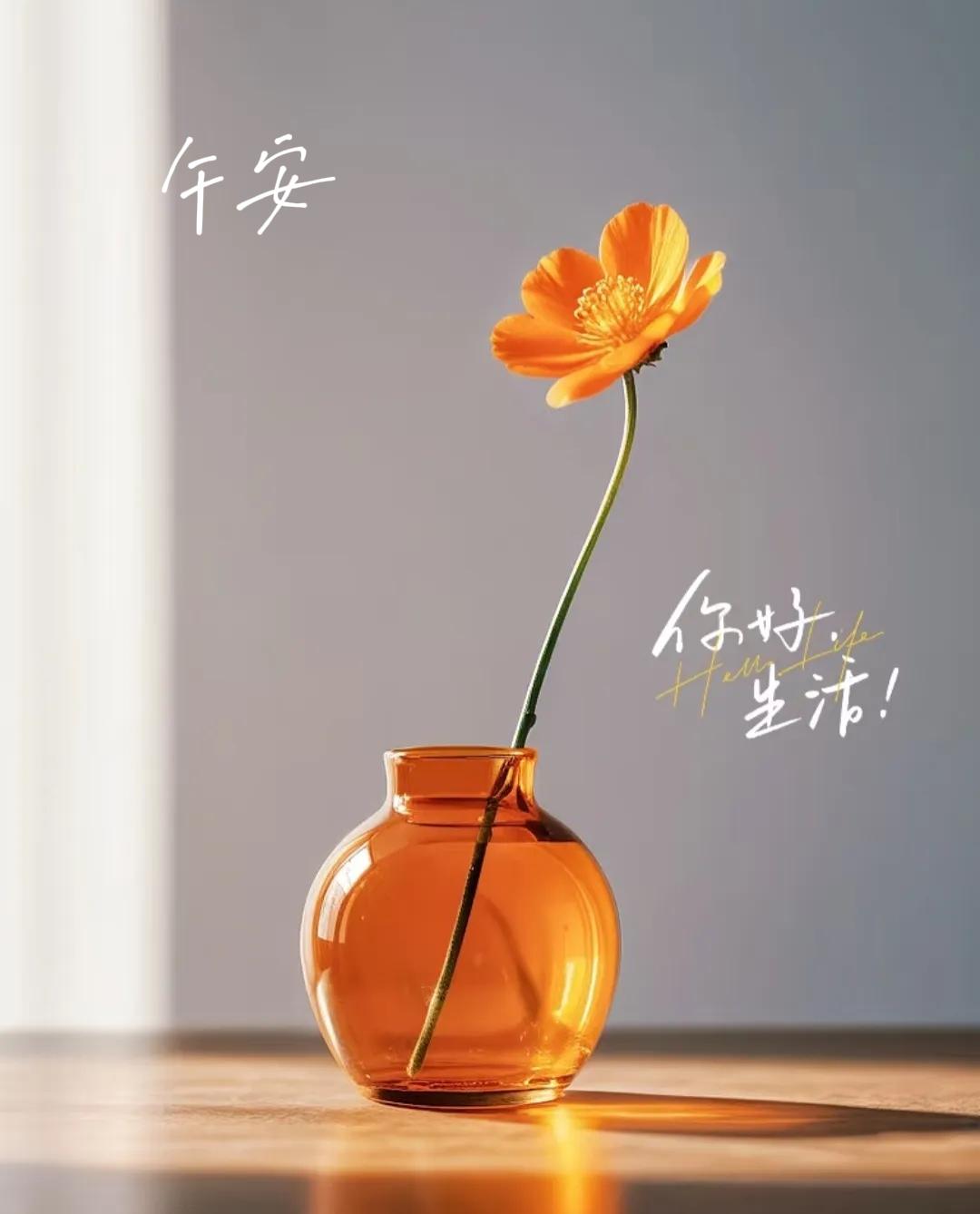 正午安然，褪去晨起忙碌，歇一歇身心，吃饱小憩，从容奔赴午后时光，午安。