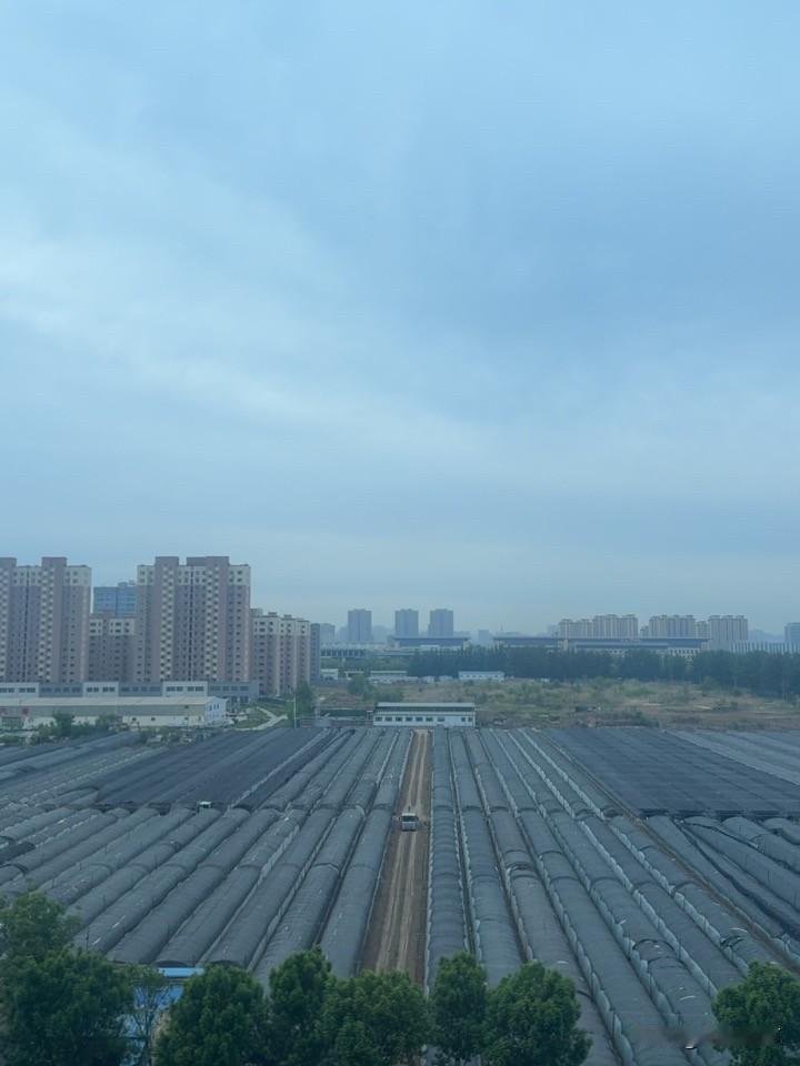 闹钟响了三遍，我按掉了三遍。
第四遍的时候，我告诉自己：“再不起来，全勤奖就没了