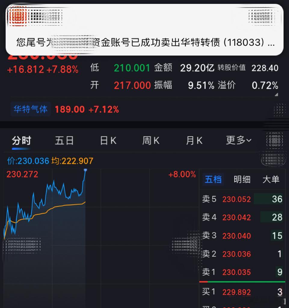 华特转债王者🤴投资达人说上证指数