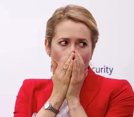 卡拉斯：Oh my God，他骂无知、笨拙、愚蠢！
     看看这幅图片，估计