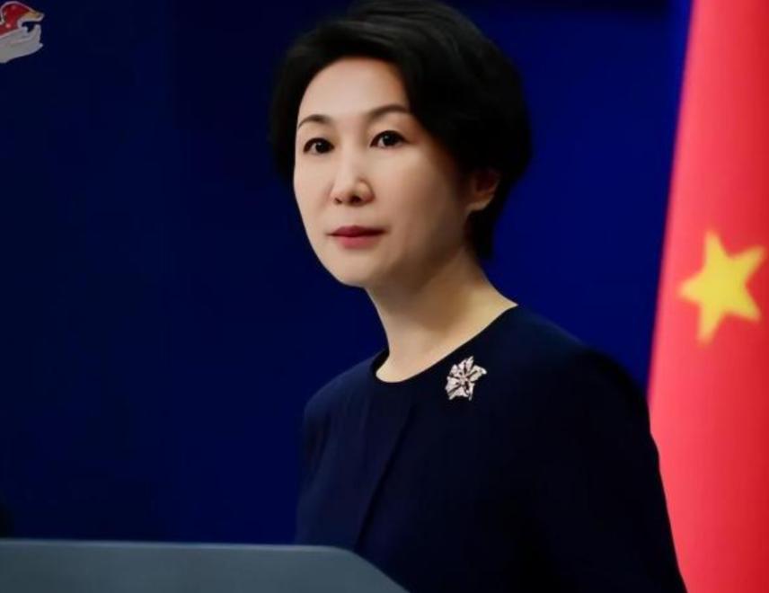 这就是中国的民意，暂停审批日本电影，日本人称“滥发淫威”。

这话说得可真有意思