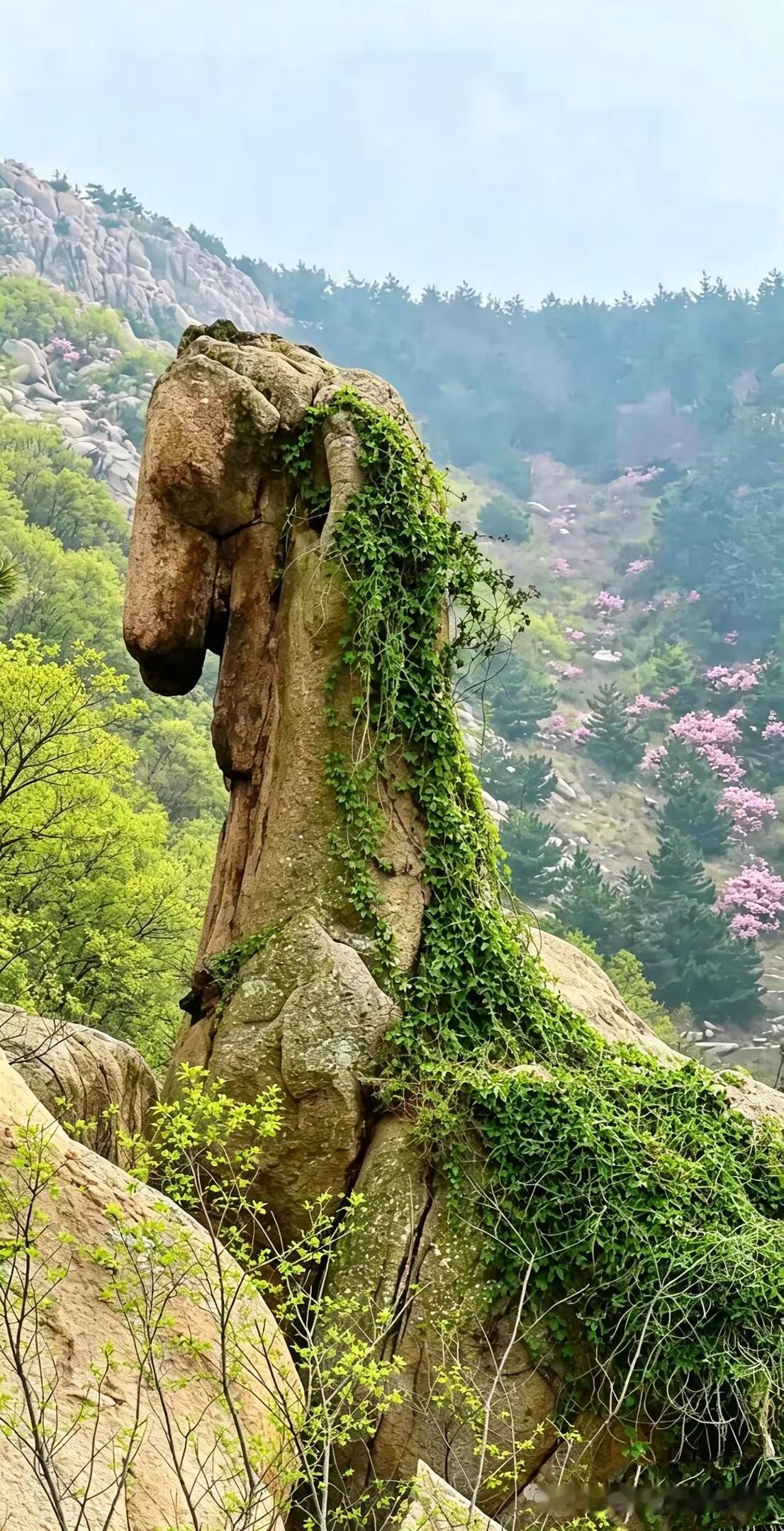 王铎：青岛大珠山上的唐奔马，又出现了。
