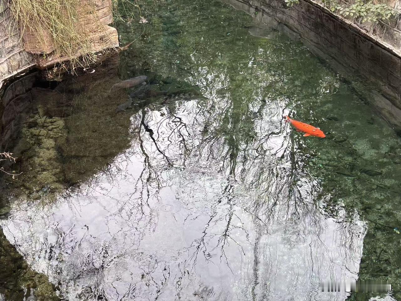 幸亏有地铁。
今天早上睡到7点17分，比平时晚起了半个小时，赶紧洗漱上厕所，7点