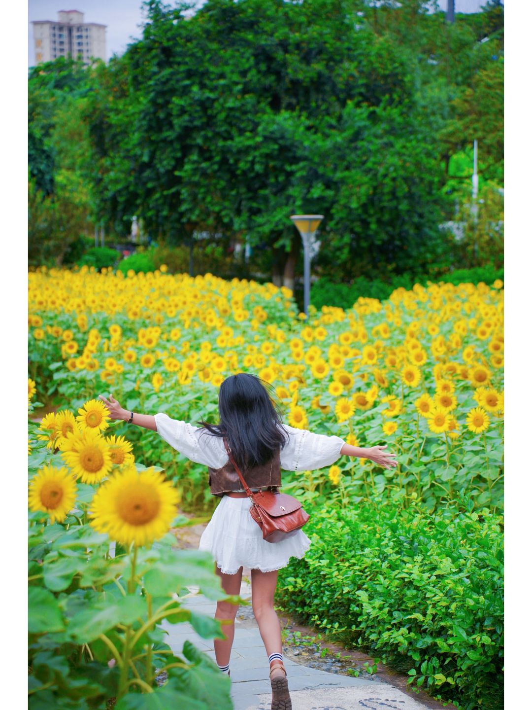 向日葵🌻花海！轻徒步路线 15分钟登顶看高铁
