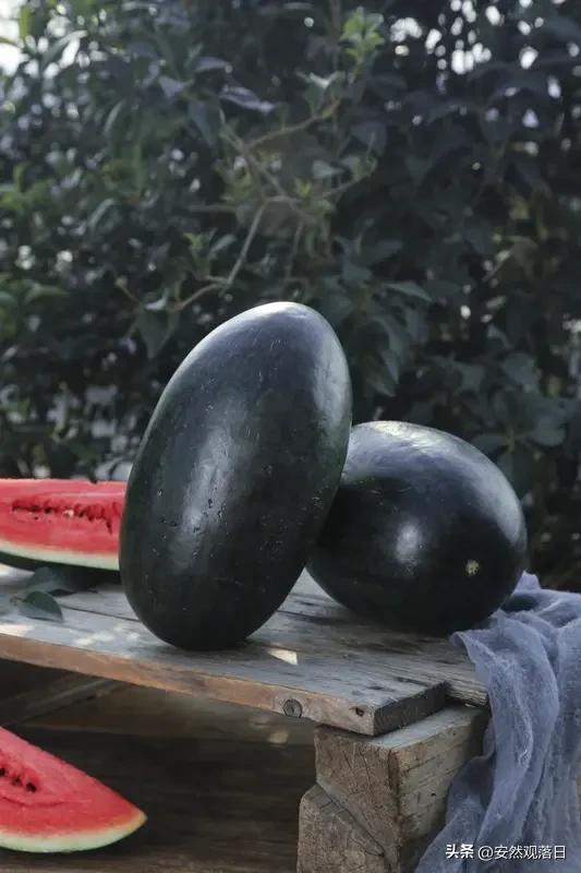 时代发展，好多水果都被淘汰了。像黑美人西瓜，以前又甜又便宜，一斤才几毛钱，现在很