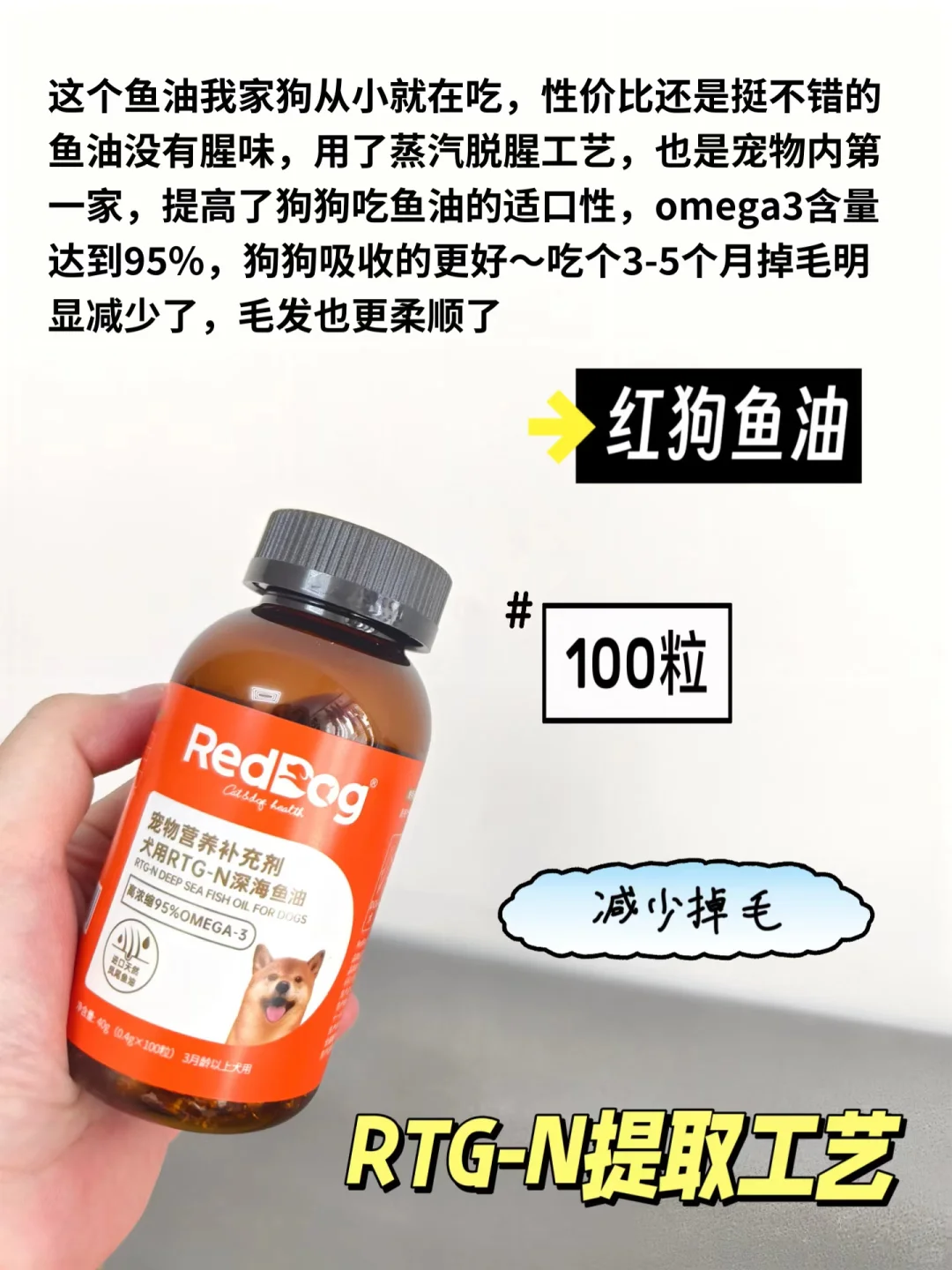 狗狗鱼油干货科普！附带真实喂养感受！