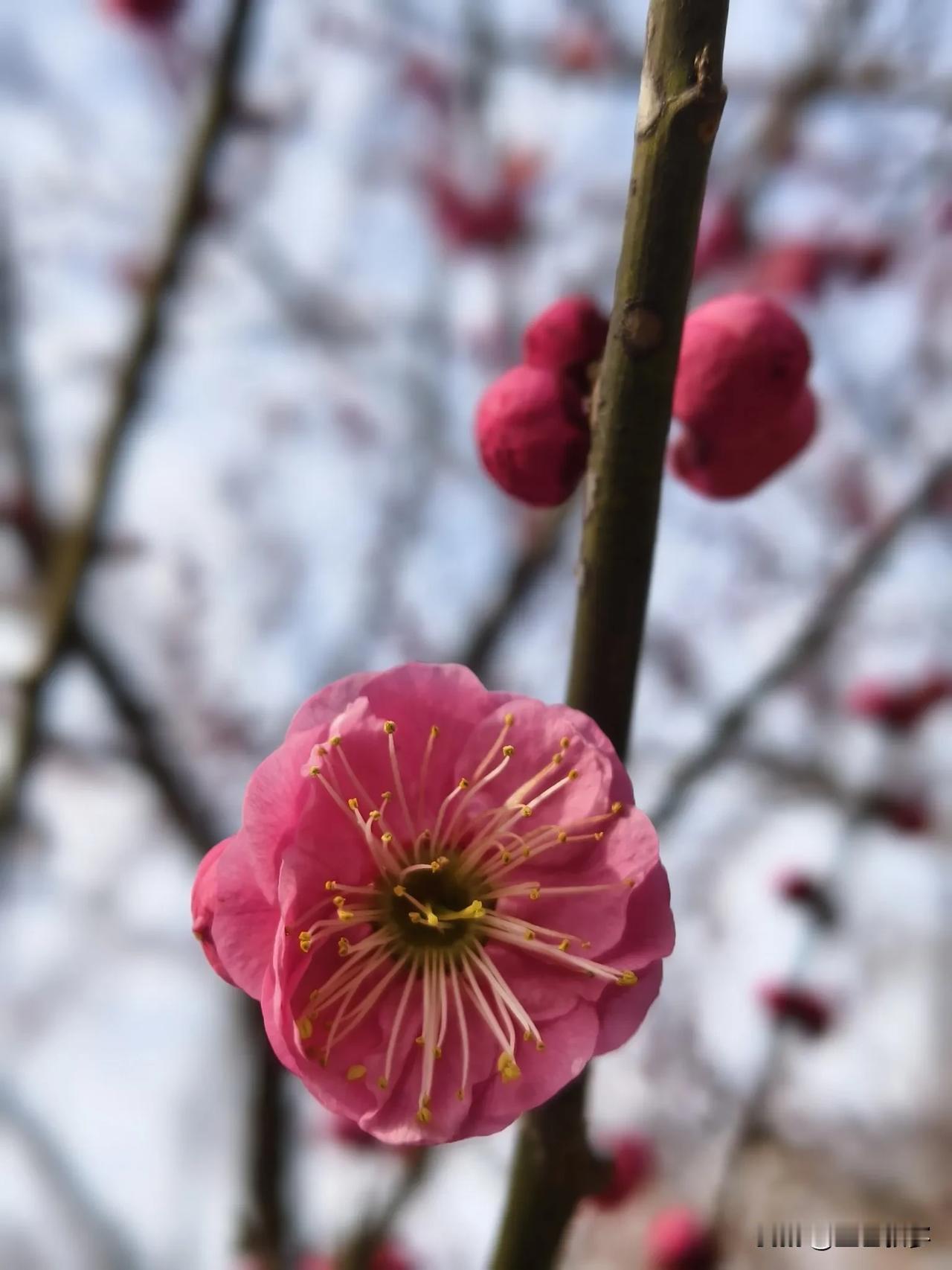 以前过年过生日，总会有礼物，忘了从什么时候起变成了红包，再之后，连红包也没有了。