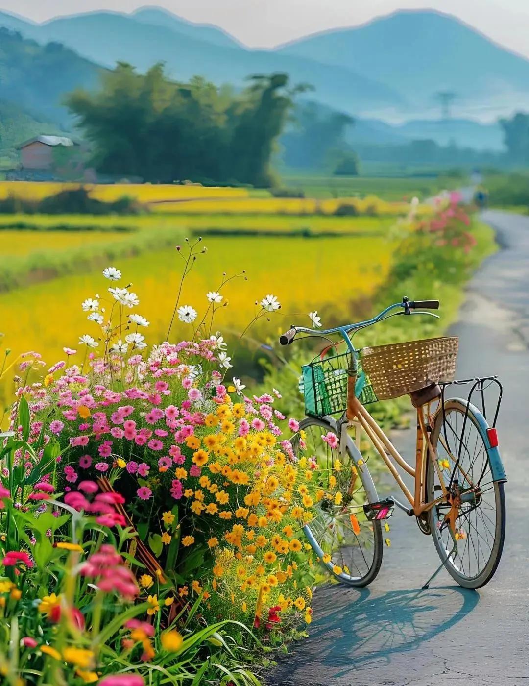 没交社保的赶紧交！再不交，你老了就看不起病了！
我老公的一个姐姐就是因为没有工作