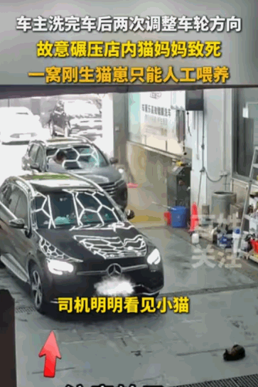 “这和谋杀有什么区别？”据媒体5月21日报道，广东一名奔驰车主在洗完车后，竟然两