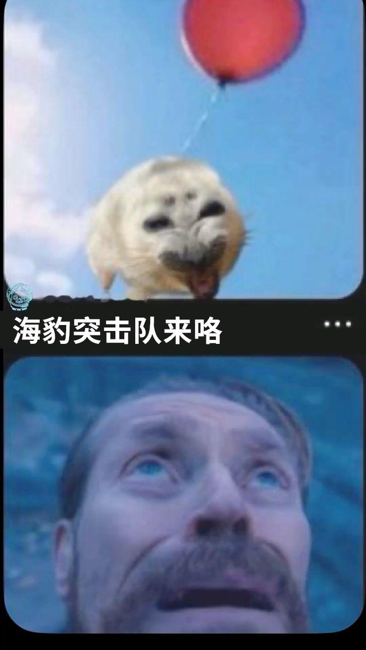 来啦 