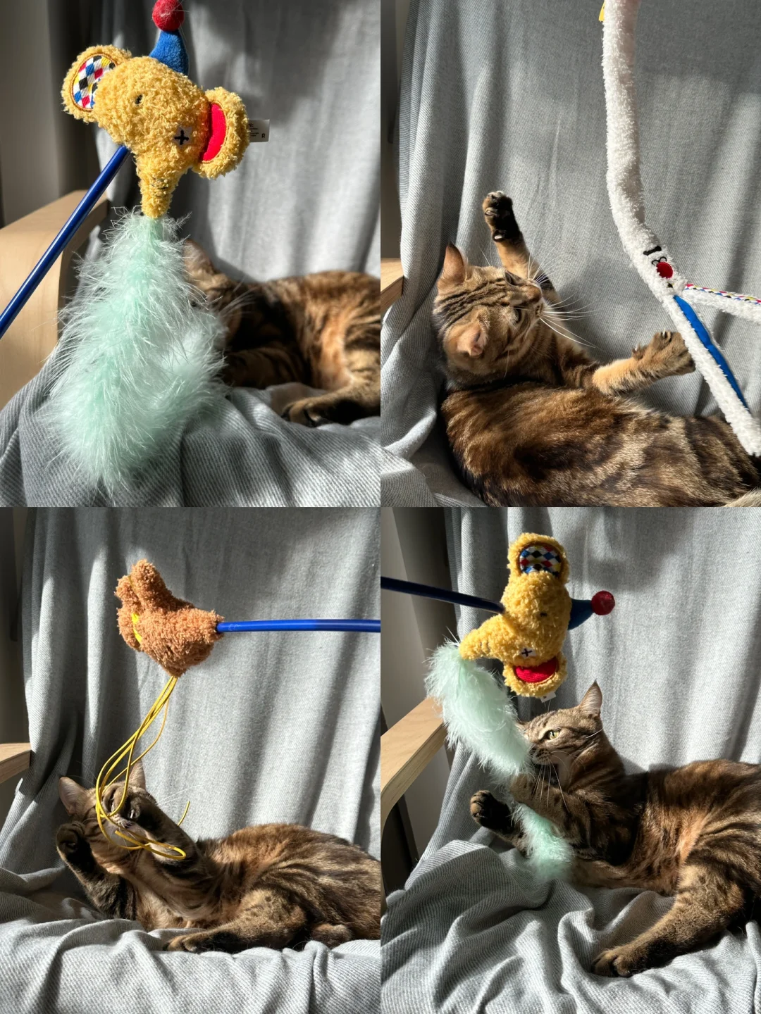 这马戏团系列逗猫棒也太可爱了😍