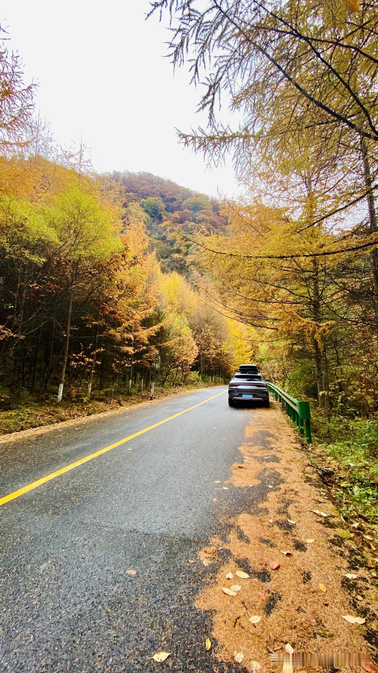 昨晚露营营盘村，按行程计划，今天将经太子岭去往火烧店镇，但营地内一个德阳的车友推