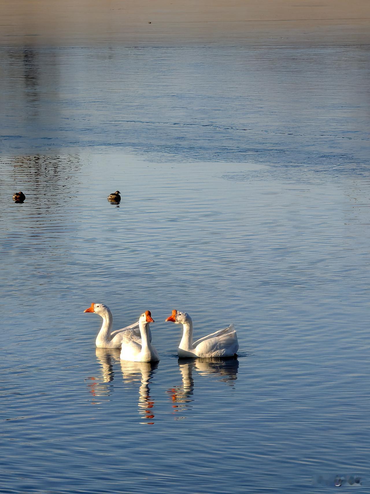 冬日生活打卡季白浮泉公园随拍