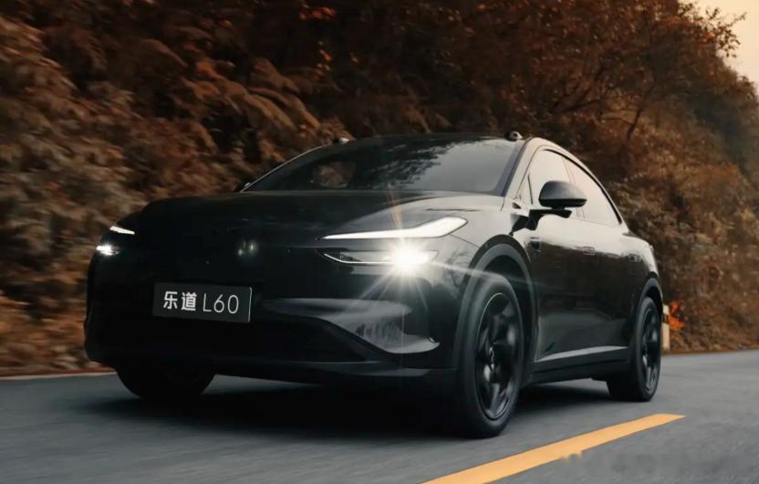 乐道L60黑骑士限量版来了，网友：全黑套装也限量？看来限量还真不能瞎发起，最近，