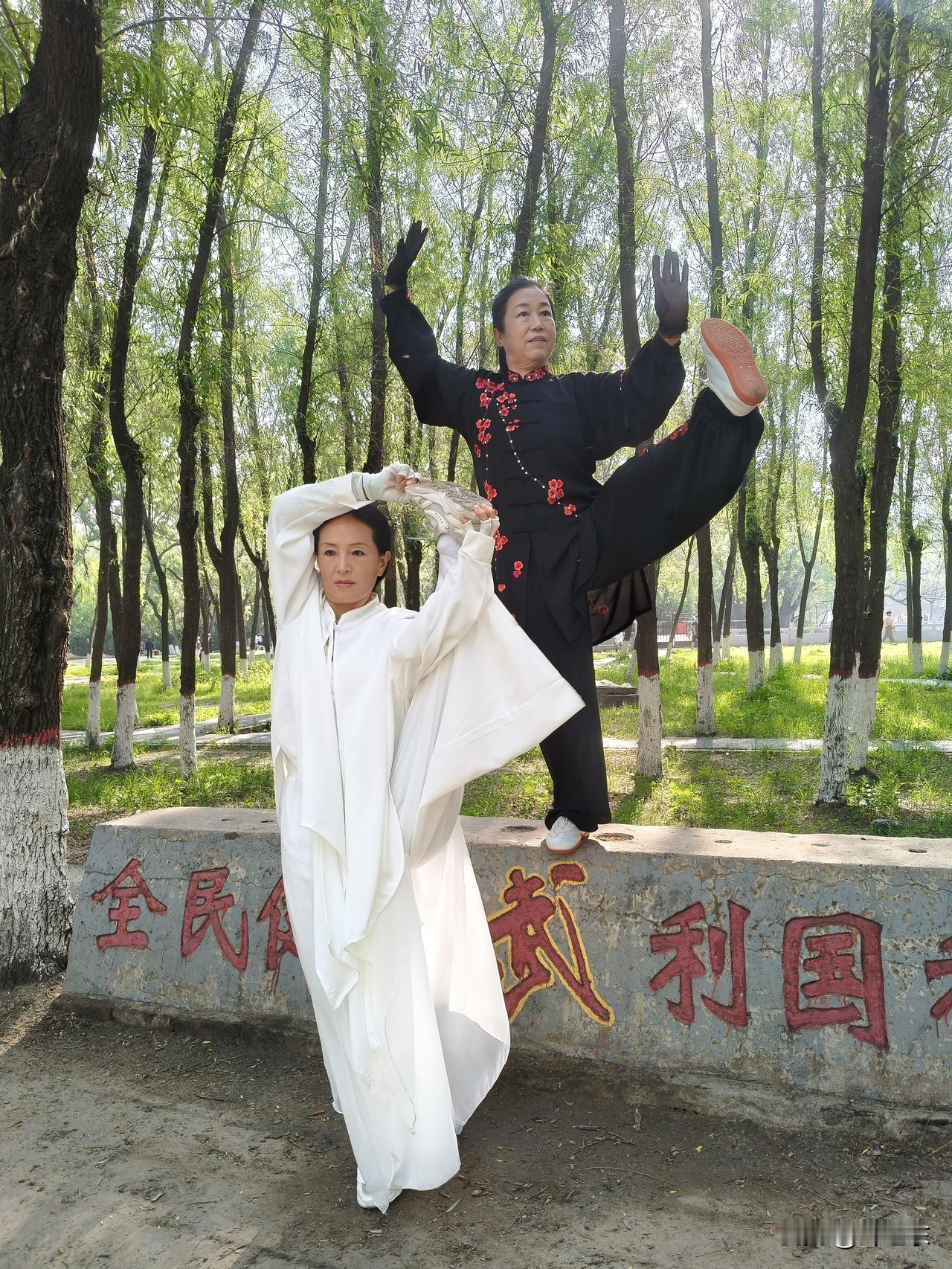 瑜伽.太极
柔弱无骨瑜伽功，
金鸡独立朝天蹬。
风摆荷叶乾坤气，
请续句……
（