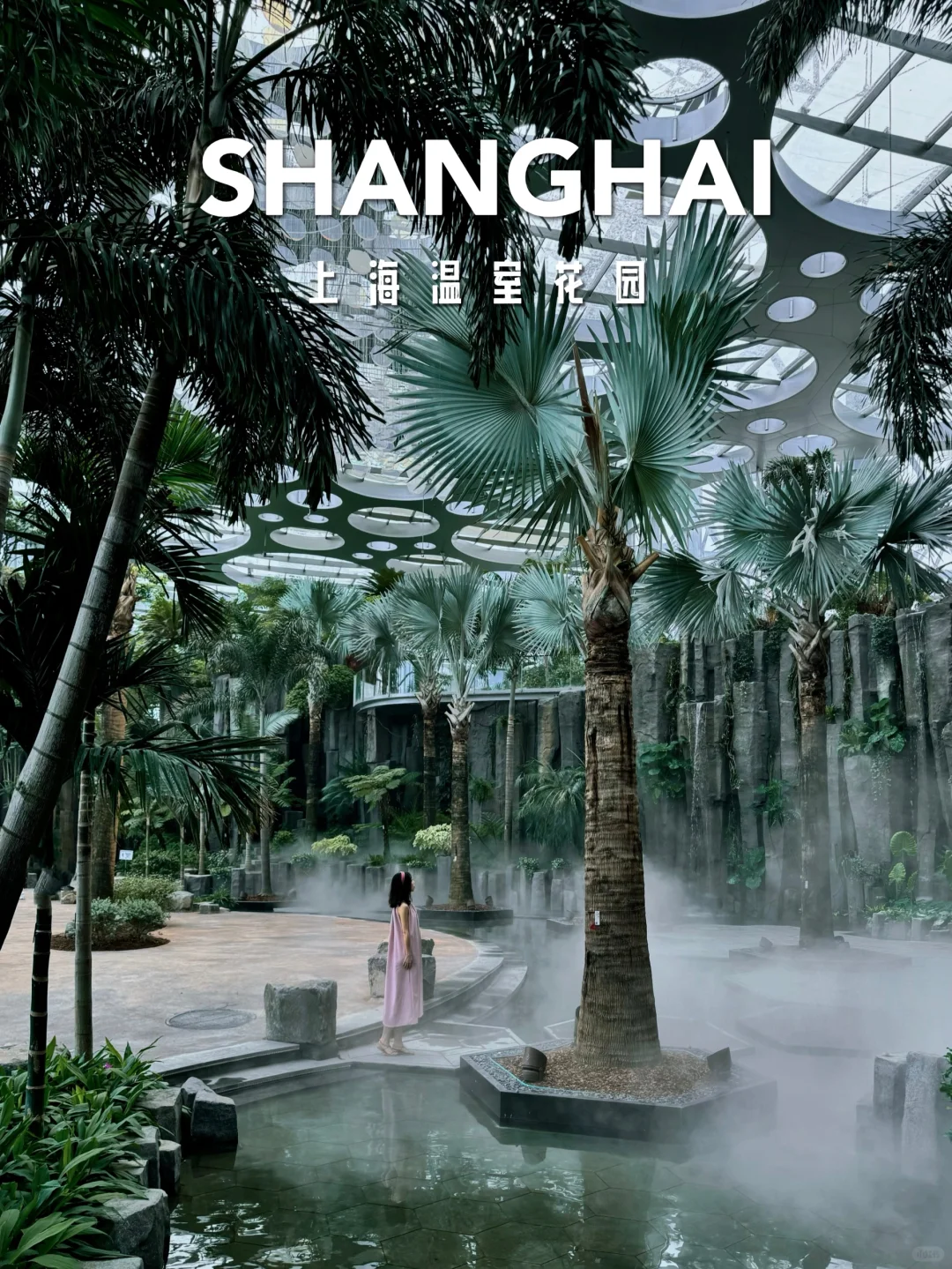 上海也有媲美新加坡的室内植物园啦🌵