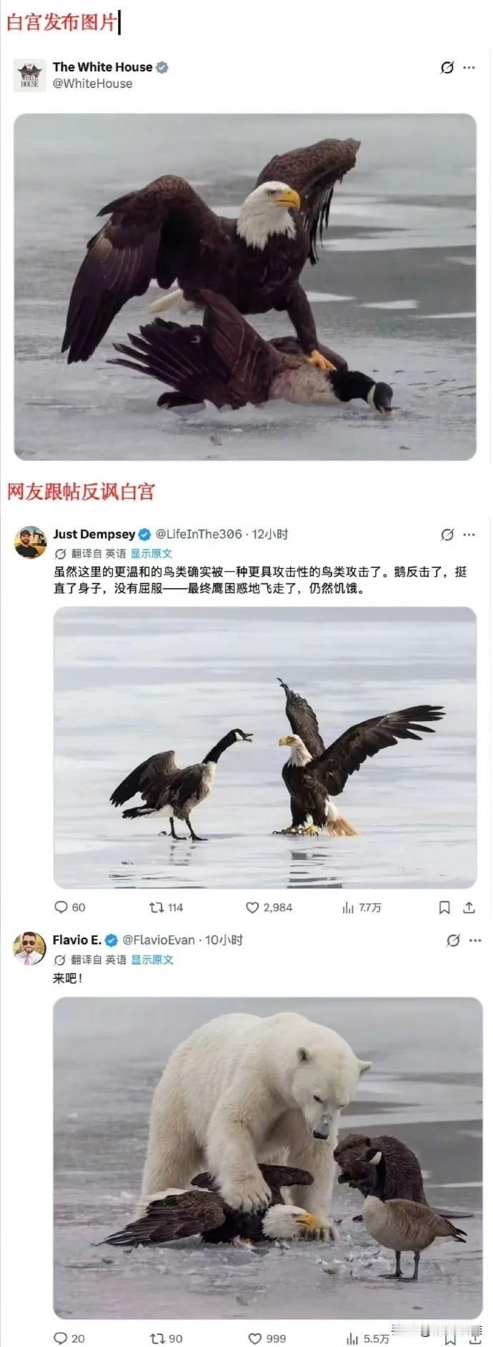 【白宫发布多图来形容美国与加拿大的开撕】最近美国和加拿大之间的关系已经是水火不容