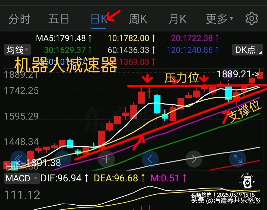 基金复盘：机器人概念最强方向走势分析
     机器人概念强势不衰，只要有回调，