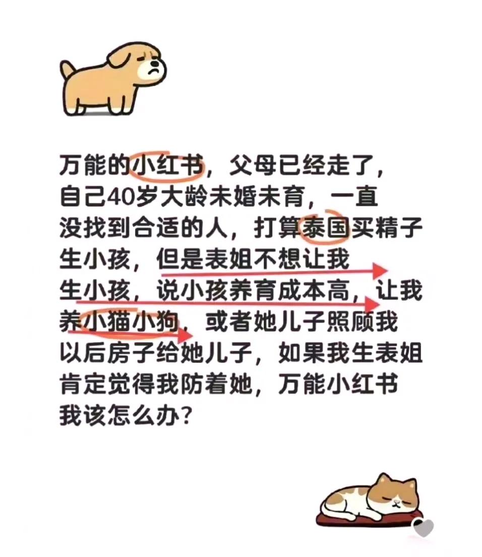 这当表姐的算盘打得真响，我隔着屏幕都听见了！

只要你经济能扛得住、心理做好准备