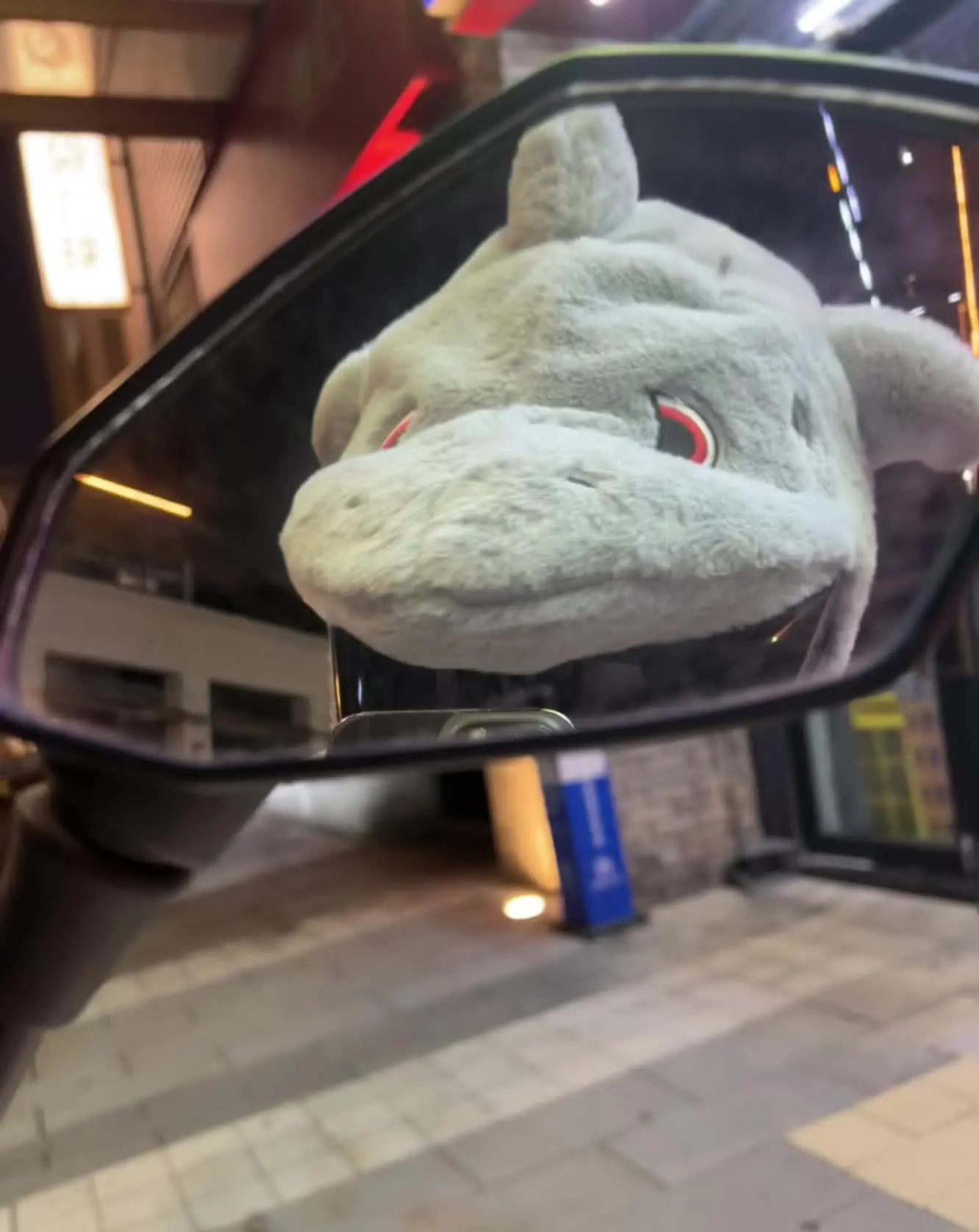 可以看看大家带头盔的照片吗？