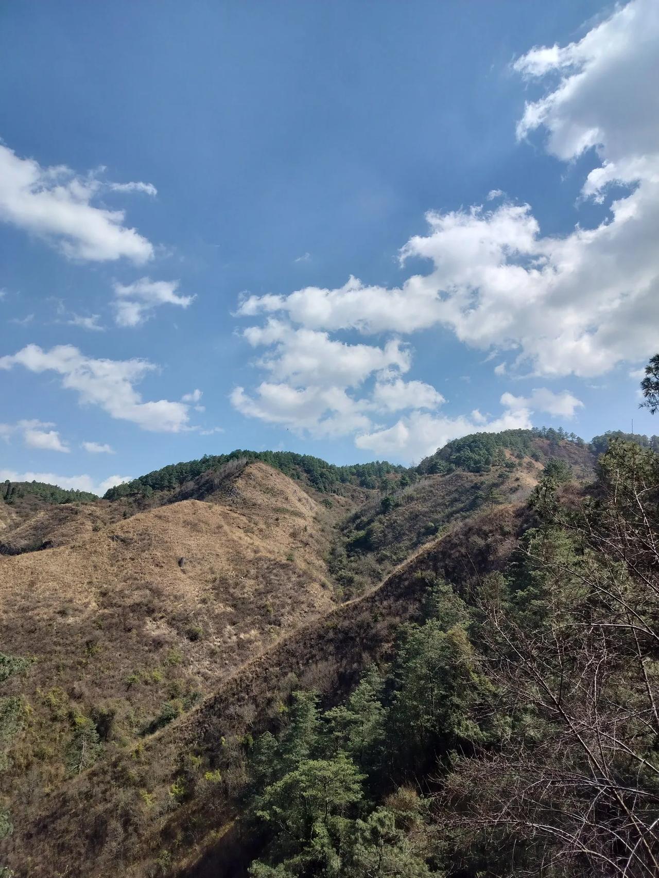 山间漫步，云卷云舒，心旷神怡。初绽的桃花犹如朋友的笑容在风中摇曳生姿。