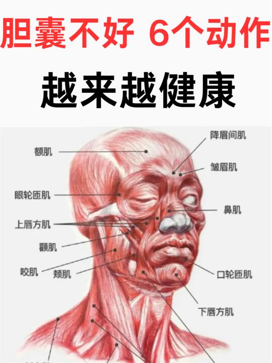 胆囊不好，6个动作，越来越健康！