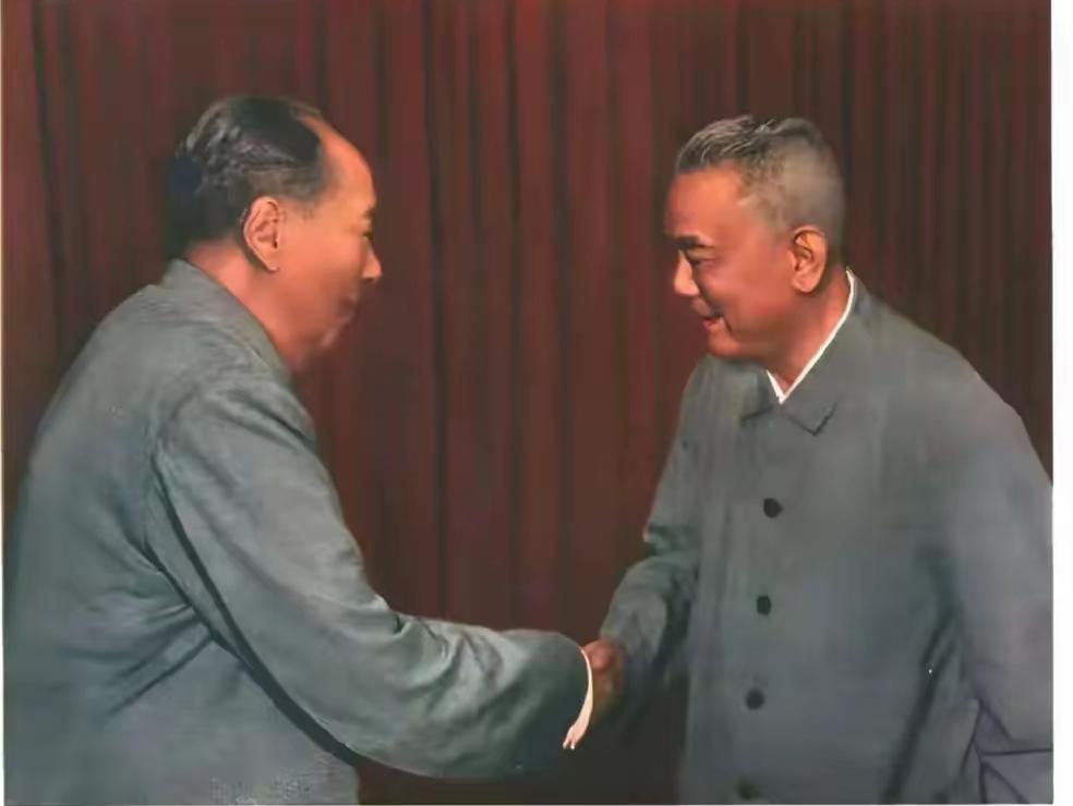 毛主席和李先念相交几十年，既是并肩打拼的老战友，也是彼此信任的知己。战争年代，李