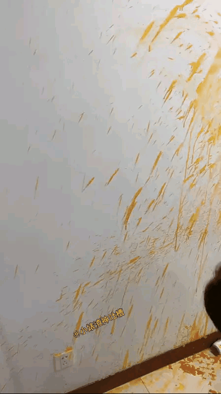 这是在家干啥了啊