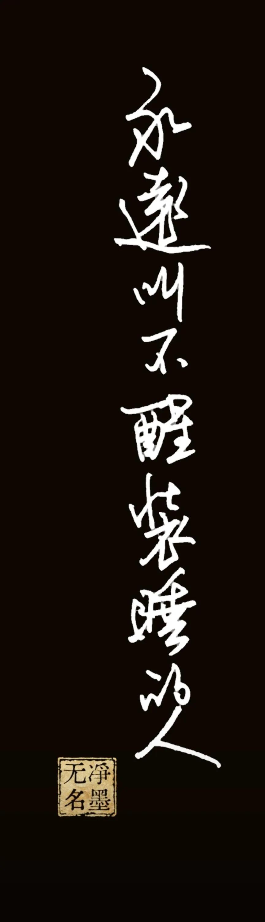 永远叫不醒装睡的人
简评
单列长条布局，一以贯之，行气笔直顺畅；行草线条洒脱流畅